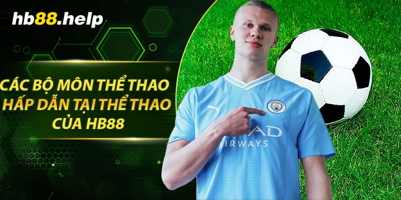 Các bộ môn thể thao hấp dẫn tại thể thao của hb88