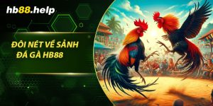 Đôi nét về sảnh đá gà hb88