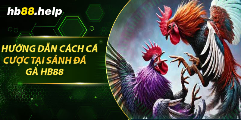 Hướng dẫn cách cá cược tại sảnh đá gà hb88