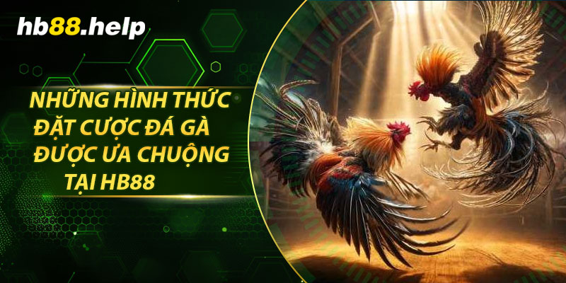 Những hình thức đặt cược đá gà được ưa chuộng tại hb88